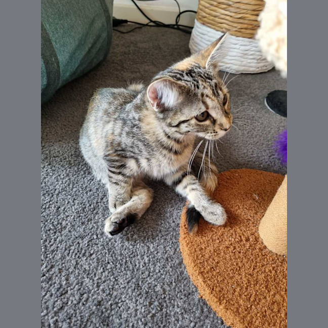Photo of Maisy