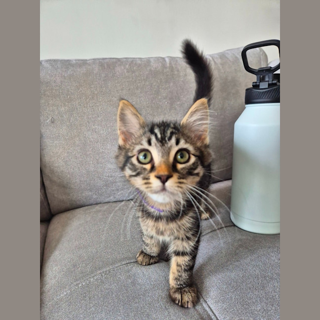 Photo of Bucket