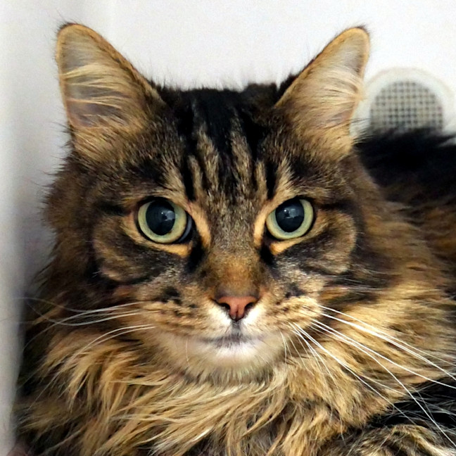 Photo of Mia Sua014644