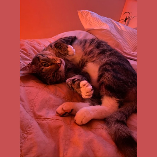 Photo of Henry