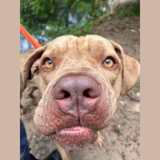 Photo of Milo