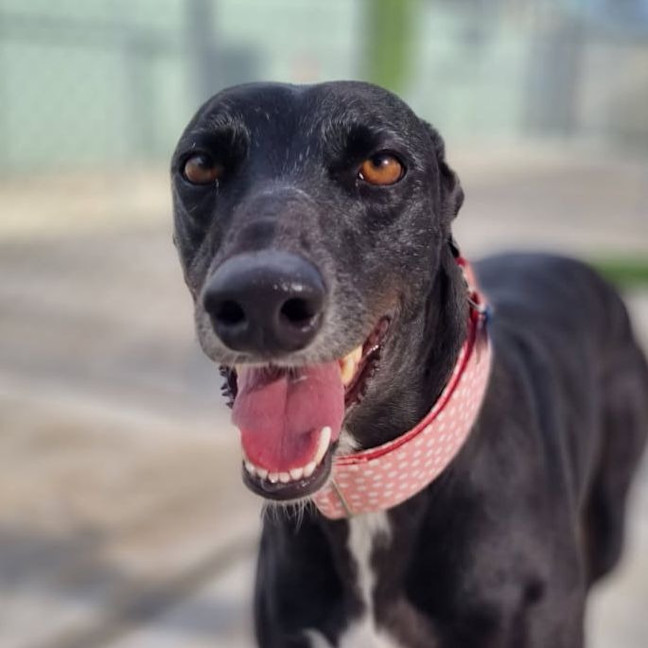 Photo of Queen Ester