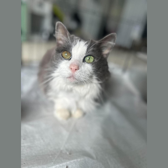 Photo of Munchkin