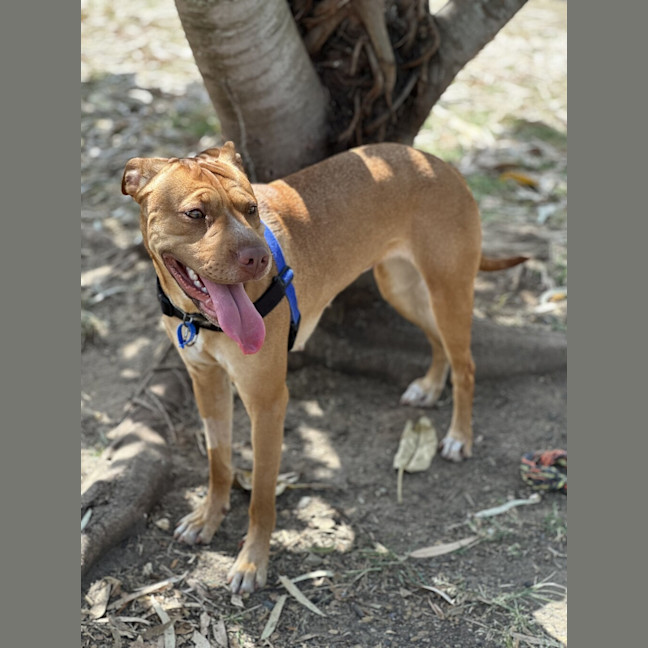 Photo of Ember