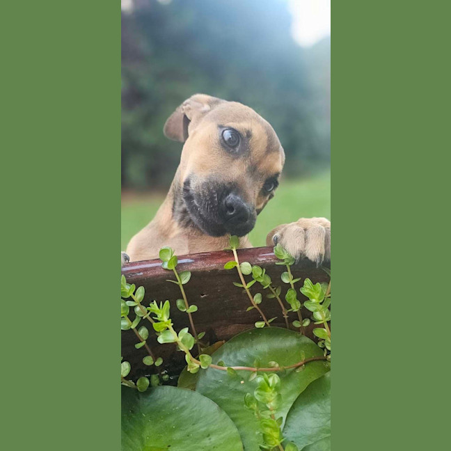 Photo of Laylei