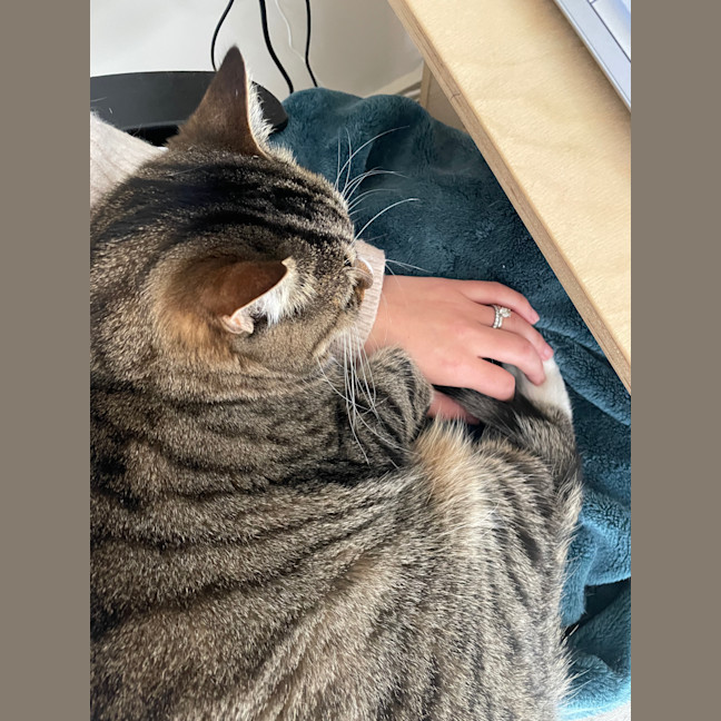 Photo of Alexa & Cindy