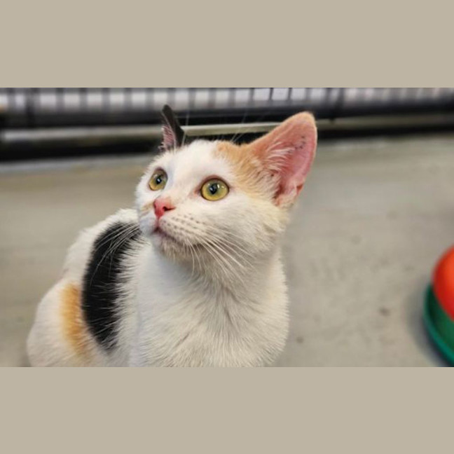 Photo of Meredith