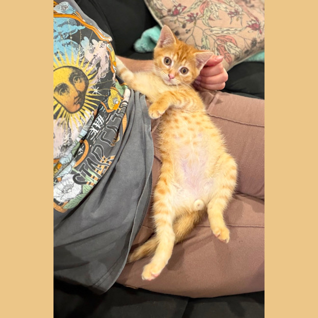Photo of Jethro