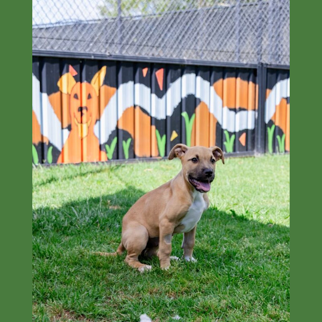 Photo of Jinx