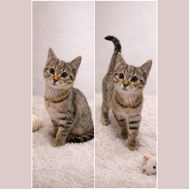 Photo of Winnie