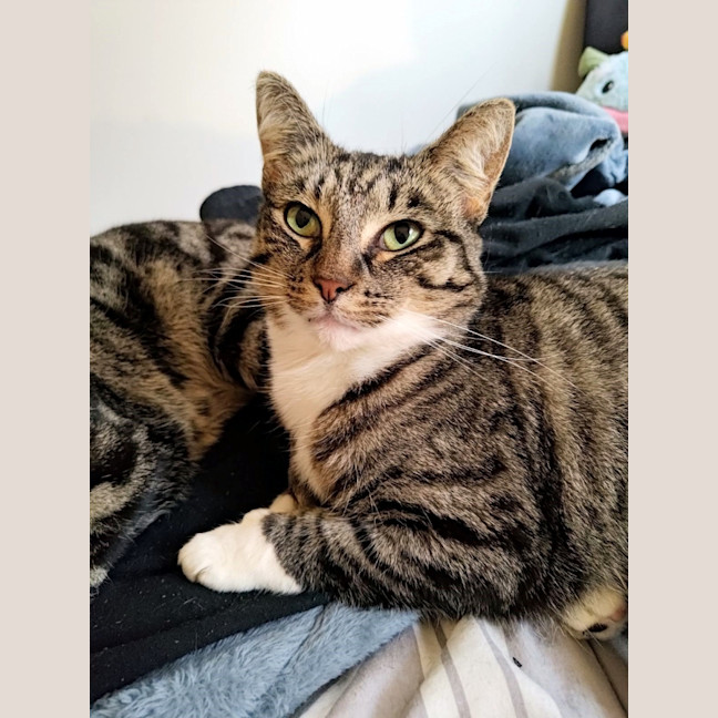 Photo of Louise Sta012467