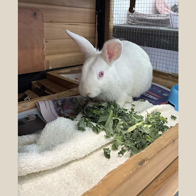 Photo of Steve