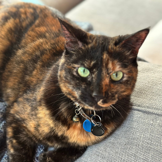 Photo of Lucy