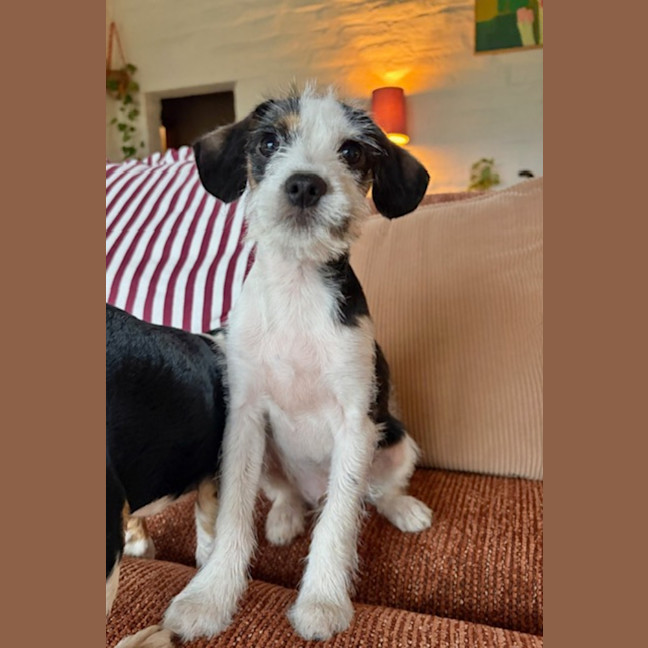 Photo of Fuzzy Navel