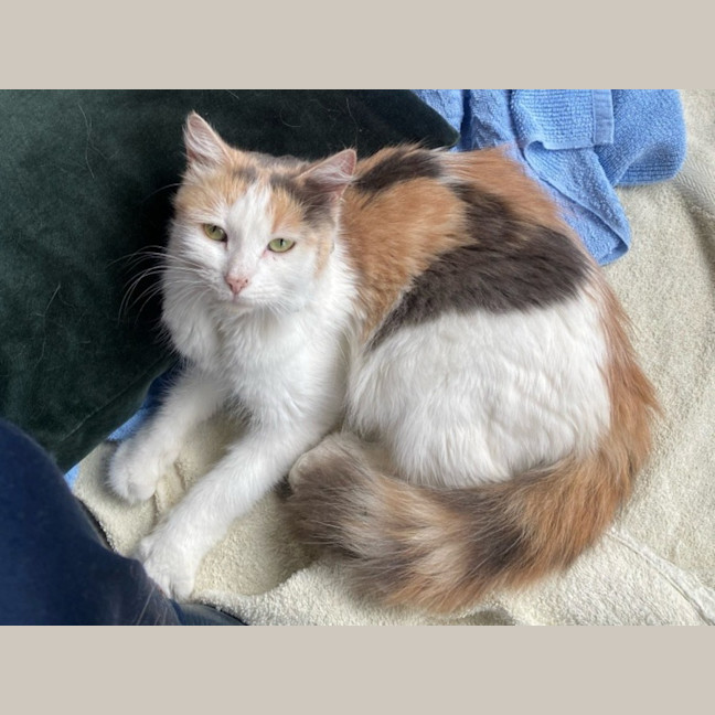 Photo of Ruth Russelton