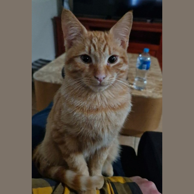 Photo of Hendy