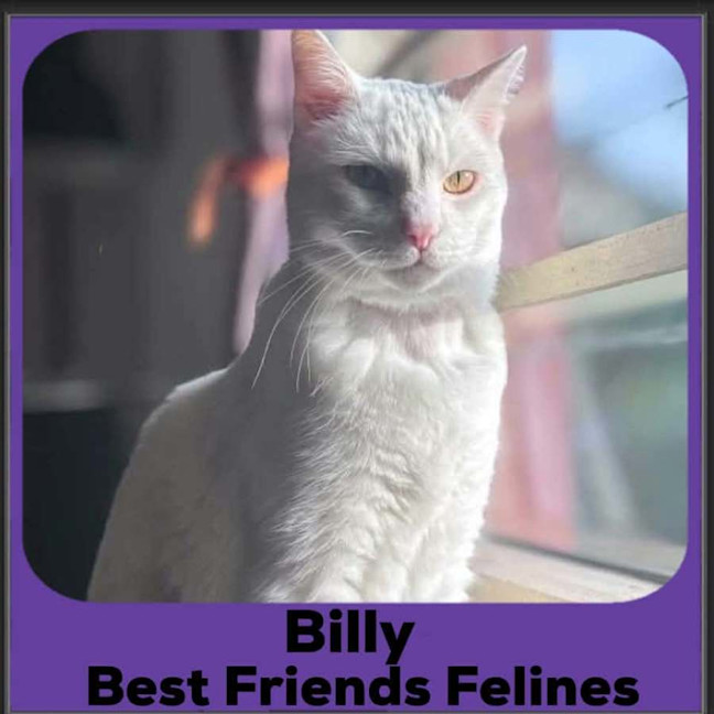 Photo of Billy 