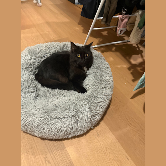 Photo of Poppy