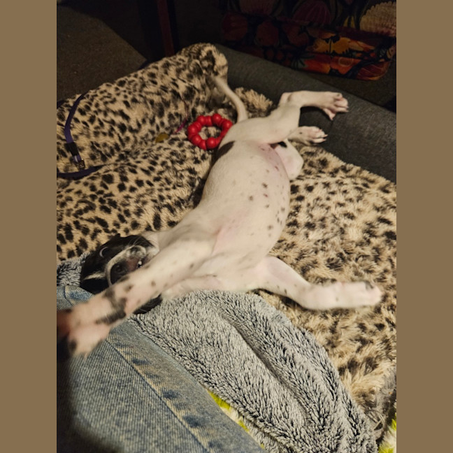 Photo of Dorothy Anne