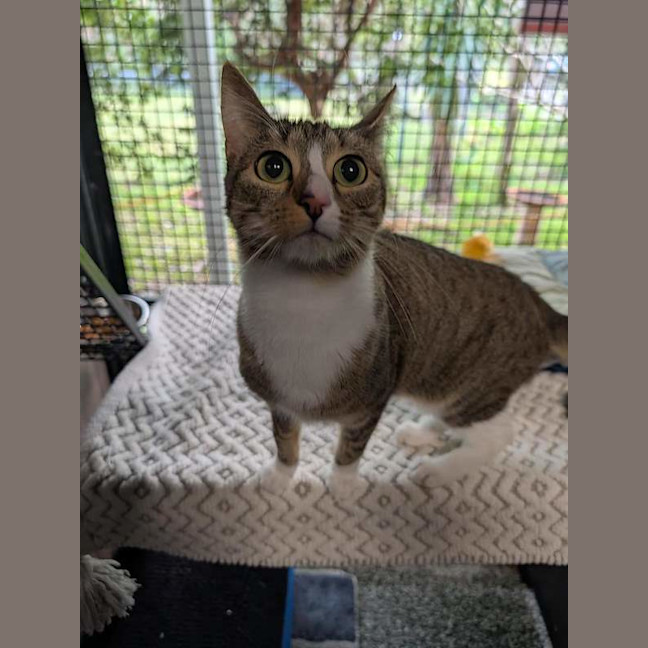 Photo of Soxy