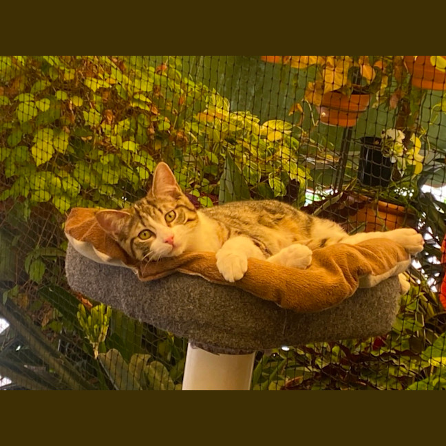 Photo of Tammy