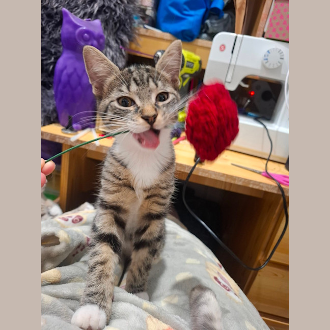 Photo of Boots
