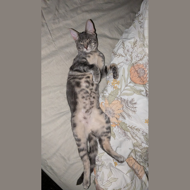 Photo of Trip