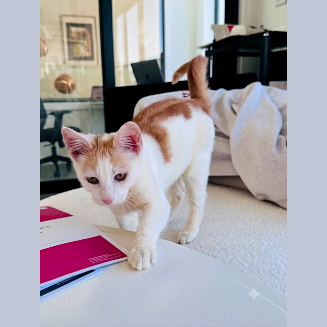 Photo of Leo
