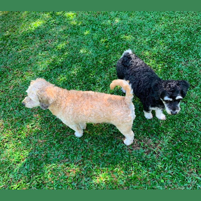 Photo of Coco And Cherry 