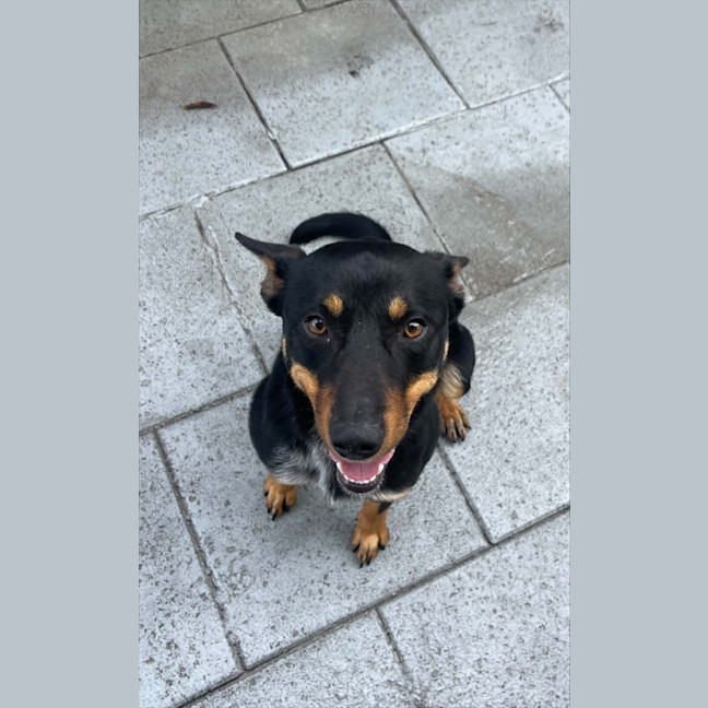 Photo of Bobby