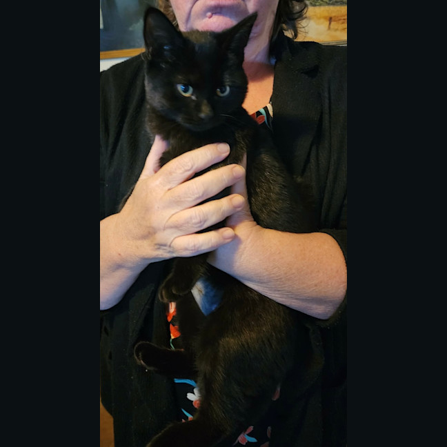 Photo of Loki 