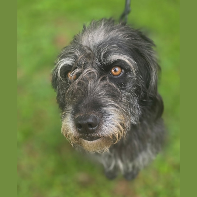 Photo of Bonnie