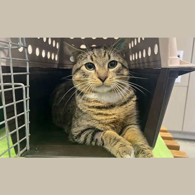 Photo of Fergus 