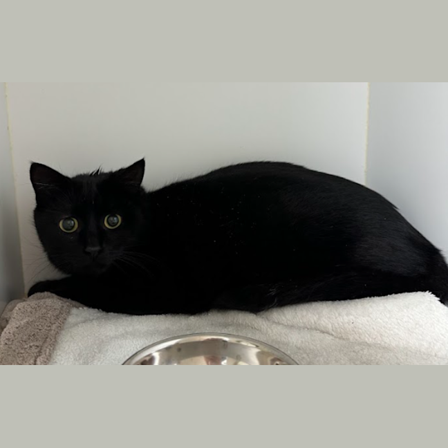 Photo of Maggie