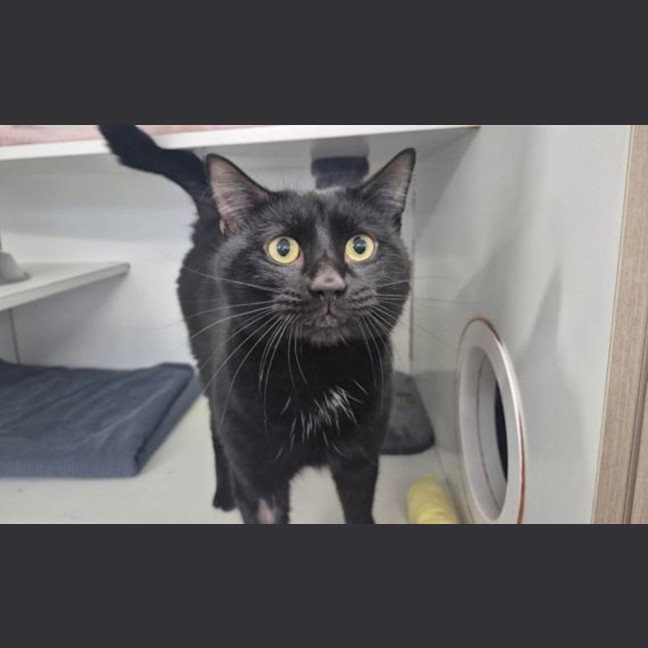 Photo of Taco