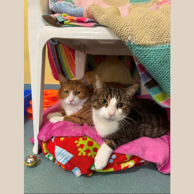Photo of Roku And Nana