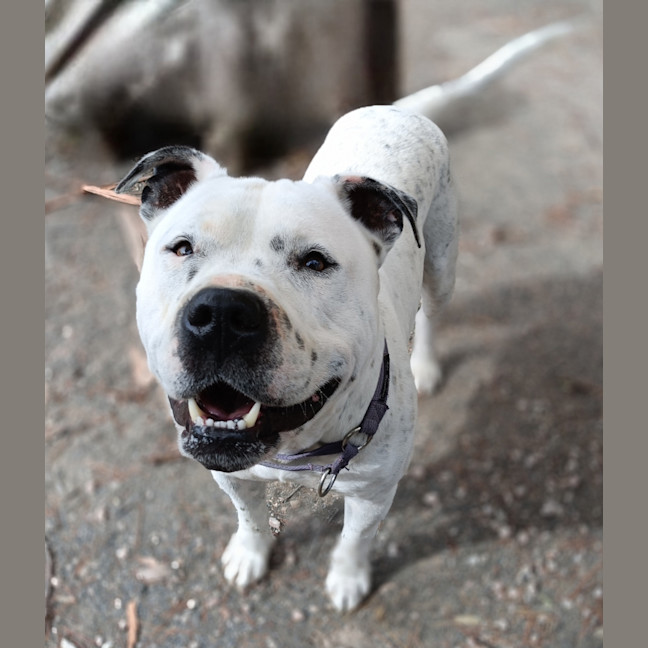 Photo of Ralph Aka Barney