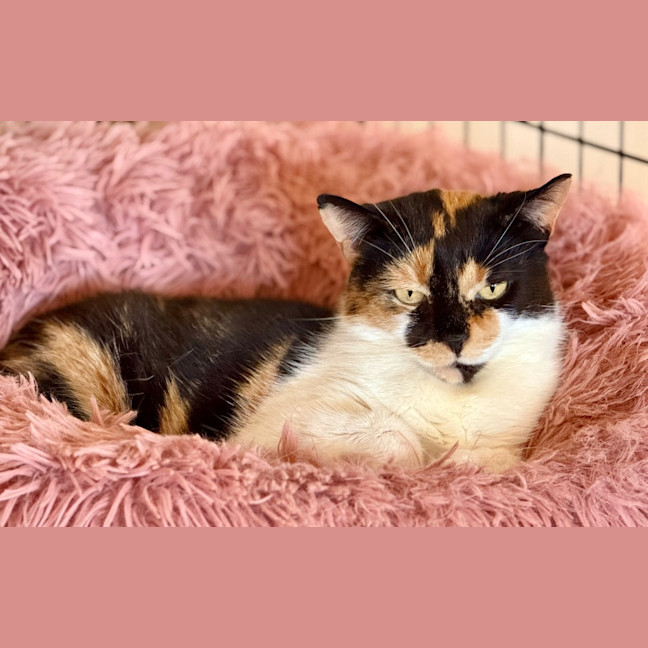 Photo of Queen Mimmi