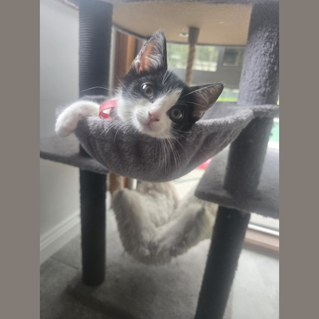 Photo of Jackie Chan