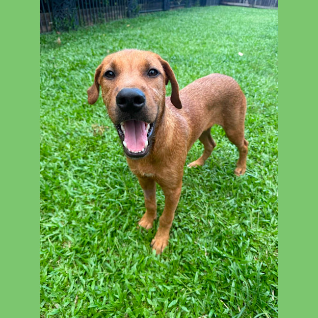 Photo of Clifford Aka Cliffy