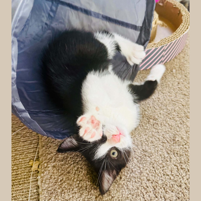 Photo of Steve