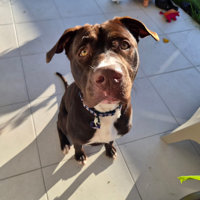 Photo of Molly