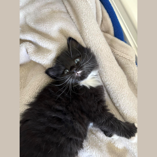 Photo of Maggie