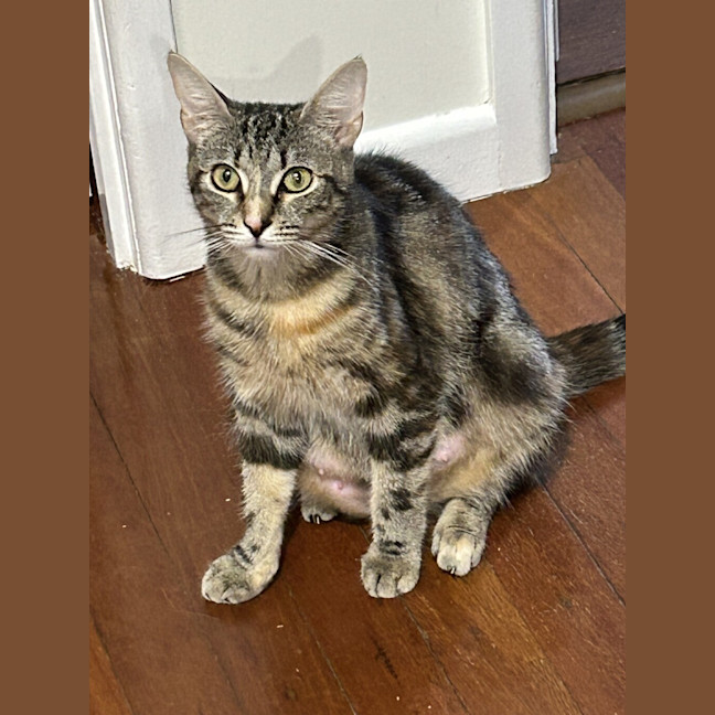 Photo of Molly
