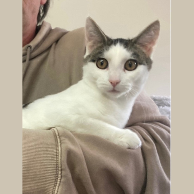 Photo of Skittles