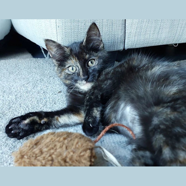 Photo of Billie Eilish