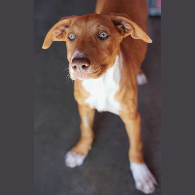 Photo of Matilda