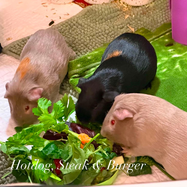 Photo of Hotdog, Steak & Burger