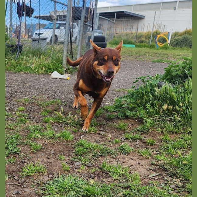 Photo of Danny (67337)