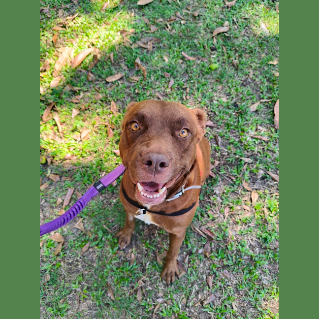 Photo of Willow